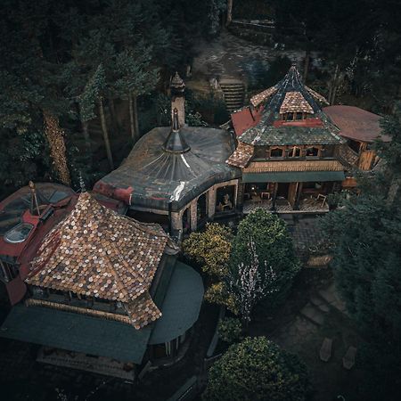 Готель Boxque Teva Мехіко Екстер'єр фото